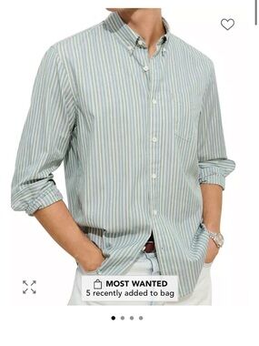 Alex Mill Green Stripe Button Down NWT
